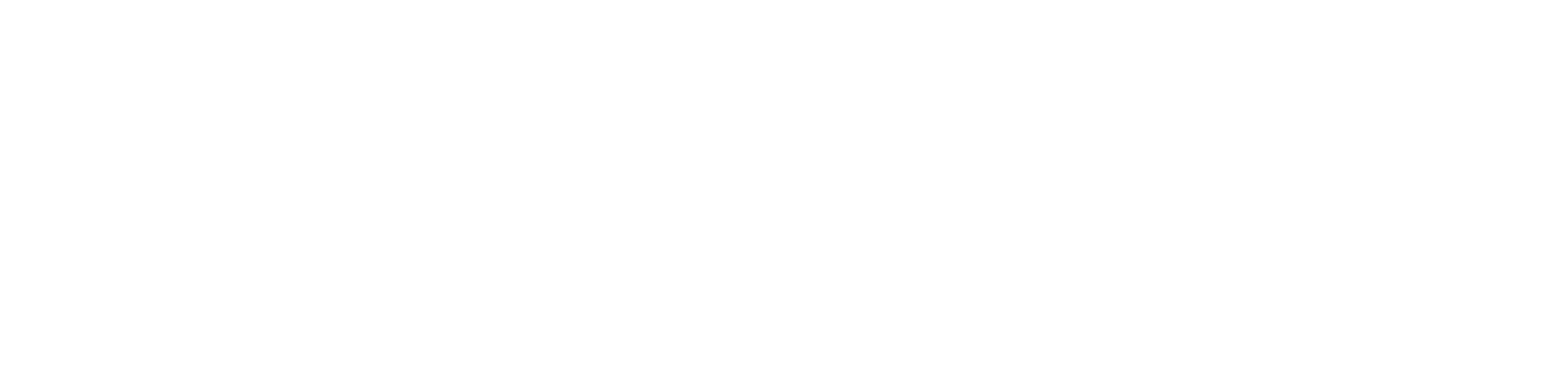 SSUBICA